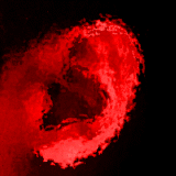 trueall3.jpg (108558 oCg)