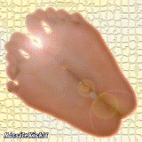 trueall5.jpg (113633 oCg)