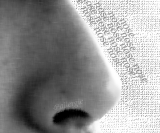 trueall6.jpg (124804 oCg)